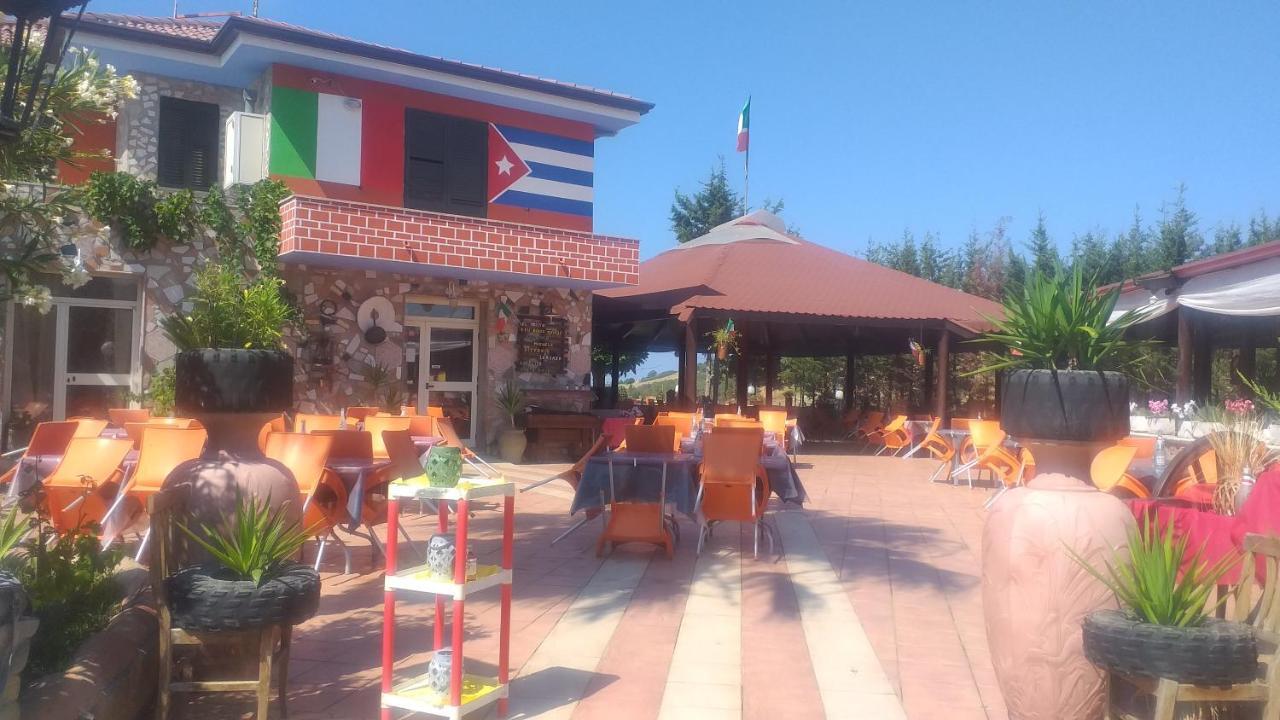 Affittacamere El Mojito Calopezzati エクステリア 写真